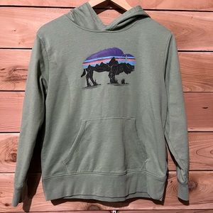 Kids XL Patagonia Buffalo hooded Sweatshirt green